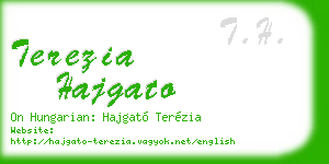 terezia hajgato business card